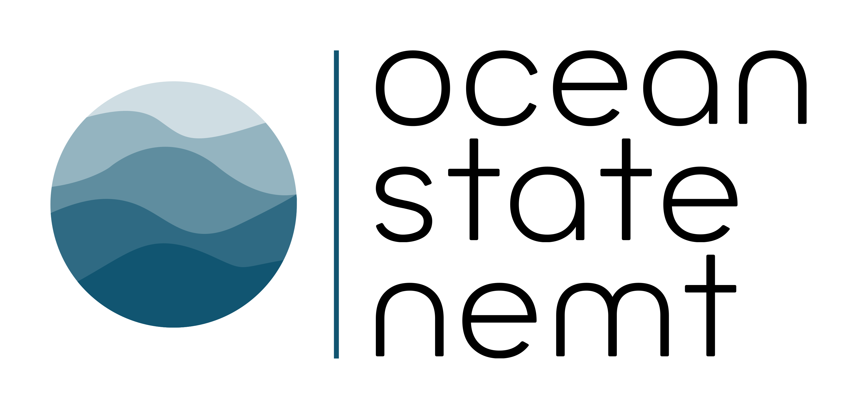 Ocean State Nemt Inc. logo